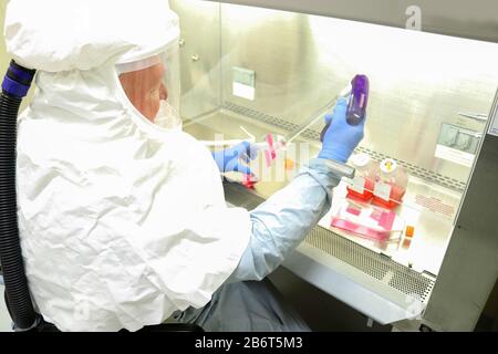 Raccolta di campioni del virus che provoca COVID-19 per l'uso nello sviluppo di modelli di infezione, test diagnostici, vaccini e terapeutici. Foto Stock