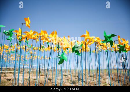 Cartiera gialla e verde a Paju, DMZ Imjingak, Corea del Sud Foto Stock