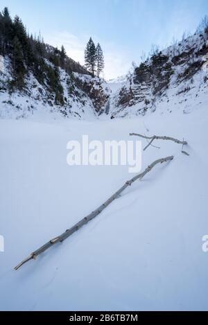 Albero spogliato da valanga, montagne di Wallowa, Oregon. Foto Stock