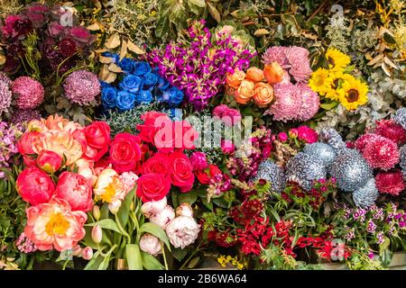 Esposizione floreale di rose rosse, crisantemi, fiori e fogliame verde ideale come sfondo carta da parati Foto Stock