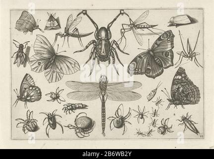 Insecten (serietitel) Diversae Insectarum Volatilium (serietitel) insetti Diversi con centralmente sopra uno spin sospeso. Produttore : stampatore: Jacob Hoefnagel stampare da: Joris Hoefnagel Editore: Claes Jansz. Visscher (II) Fabbricazione Di Posti: Printmaker: Netherlands Editore: Amsterdam Data: 1630 caratteristiche Fisiche: Materiale per auto: Carta Tecnica: Engra (processo di stampa) dimensioni: Bordo della lastra: H 133 mm × W 197 mm Oggetto: Insetto Foto Stock