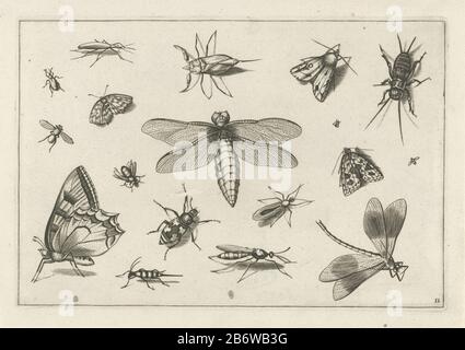 Insecten (serietitel) Diversae Insectarum Volatilium (serietitel) diversi insetti con al centro una libelle. Produttore : stampatore: Jacob Hoefnagel stampare da: Joris Hoefnagel Editore: Claes Jansz. Visscher (II) Luogo di fabbricazione: Paesi Bassi Data: 1630 caratteristiche Fisiche: Materiale per auto: Carta Tecnica: Engra (processo di stampa) dimensioni: Bordo della lastra: H 135 mm × W 199 mm Oggetto: Insetto Foto Stock