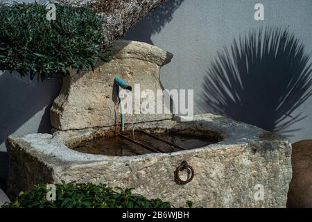 giardino in stile cortile con fontana di ulivi e piante mediteraniane. giardino a bassa manutenzione. Foto Stock