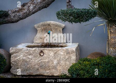 giardino in stile cortile con fontana di ulivi e piante mediteraniane. giardino a bassa manutenzione. Foto Stock