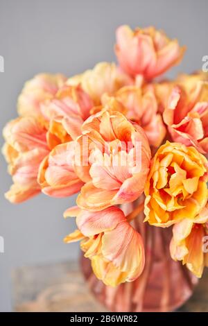Bella arancio e con striature rosse tulipani in vaso. Fiore sfondo. Sfondo Floreale. Spazio di copia Foto Stock