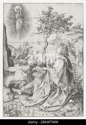 Johannes de Evangelist op Patmos John l'Evangelista è una costa (l'isola di Patmos) per scrivere un libro. Di fronte a lui un'aquila. Al cielo Maria appare con il Cristo Bambino sul braccio. Produttore : stampatore Martin Schongauer (proprietà in elenco) Luogo di produzione: Germania Data: 1470 - 1490 caratteristiche Fisiche: Materiale di automobile: Carta Tecnica: Engra (processo di stampa) dimensioni: Foglio: H 160 mm × b 114 mm Soggetto Giovanni (scrittura) sull'isola di ​​the di Patmos, possibilmente l'aquila accanto all'apostolo Giovanni Evangelista; attributi possibili: libro, calderone, calice con serpente, aquila, palma, scroll Foto Stock