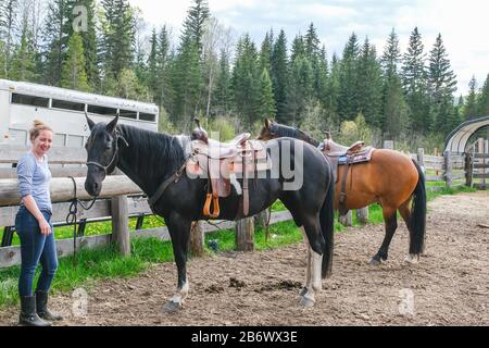 Una giovane donna con i cavalli che si preparano ad andare a cavallo nel parco nazionale di Banff Foto Stock