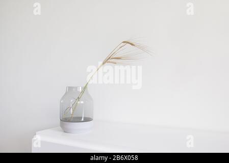 Mazzo di orzo fresco decorato in vaso di vetro su una cassettiera di legno bianco. Interni scandinavi dal design moderno e minimalista. Foto Stock