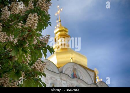 Fioritura chestnut sullo sfondo delle cupole dorate della chiesa. A Kiev, Ucraina Foto Stock