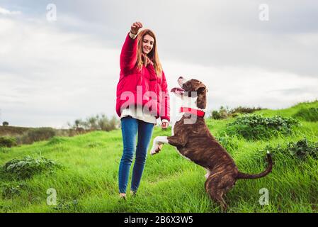 Giovane donna con cappotto rosso e jeans addestramento American Staffordshire terrier nel campo Foto Stock