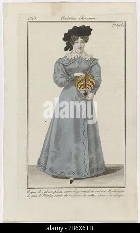 Journal des Dames et des Modes, Costume Parisien, 25 janvier 1825, (2294) Toque de velours pianura () Donna con una toque sulla testa di 'vervelet plain' decorato con un nastro legato. Indossa una redingote di 'gros de Naples' decorata con 'rouleaux' satin. Nelle mani una borsa chiamata 'ac à la neige. Scarpa con punta quadrata. L'immagine fa parte della rivista di moda Journal des Dames et des Modes, pubblicata da Pierre de la Mésangère, Parigi, 1797-1839. Produttore : printmaker: Anonymous publisher: Pierre de la MésangèrePlats manufactured: Paris Data: 1825 caratteristiche Fisiche: Engra, mano accoppiamento colorato Foto Stock