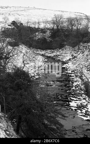 River Twiss sopra Thornton Force, Yorkshire Dales, Inghilterra, Regno Unito, in un giorno invernale gelido. Fotografia in bianco e nero Foto Stock