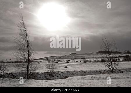 Pentlands, Midlothian, Scozia, Regno Unito. 12th Mar 2020. Una discreta quantità di neve è caduta nella regione del Pentland durante la notte, appena alla periferia di Edimburgo, facendo scene da cartolina. Temperatura di 2 gradi centigradi Foto Stock