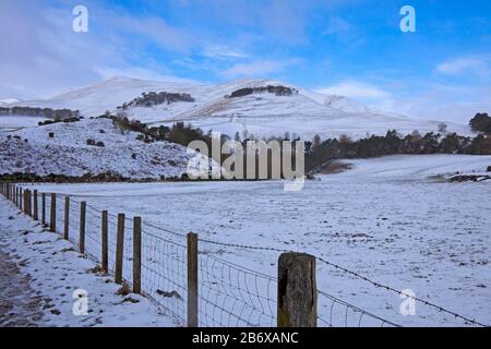 Pentlands, Midlothian, Scozia, Regno Unito. 12th Mar 2020. Una discreta quantità di neve è caduta nella regione del Pentland durante la notte, appena alla periferia di Edimburgo, facendo scene da cartolina. Temperatura di 2 gradi centigradi Foto Stock