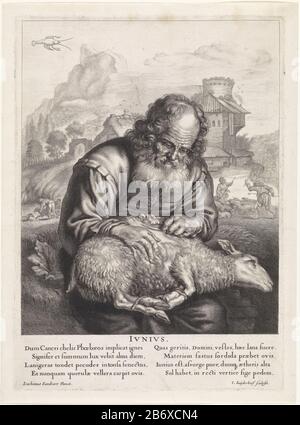 Juni Een herder schiert een schaap Junius (titel op object) De twaalf maanden (serietitel) un vecchio pastore cesoia una pecora legata insieme alle gambe che si trovano sul suo giro. Sullo sfondo, un paesaggio con edifici e pastori con le loro pecore. Nel cielo la costellazione cancro. Tra gli show un versetto in latino due volte quattro regels. Produttore : printmaker: Jonas Suyderhoef (proprietà in elenco) to painting: Joachim von Sandrart (proprietà in elenco) scrittore: Caspar van Baerle Editore: Joachim von SandrartPlats fabbricante: Amsterdam Data: 1645 caratteristiche Fisiche: Engra e materiale di incisione: Carta T. Foto Stock