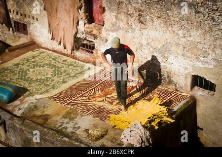 Un operaio ordina attraverso la pelle tinta nel quartiere dei conciatori di Fes, Marocco Foto Stock