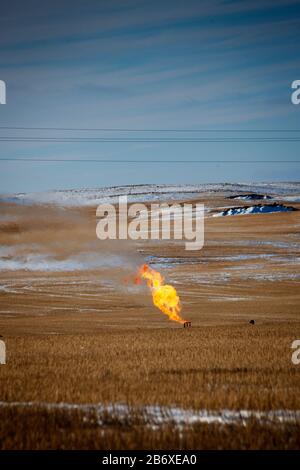 Flaring di gas da un pozzo di petrolio fuori Williston in Dakota del Nord. L'area fa parte del settore petrolifero di Bakken, dove la tecnologia del fracking lo ha reso redditizio finché il prezzo del petrolio rimane al di sopra dei 46 dollari al barile. Foto Stock