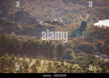 (200312) -- CANBERRA, 12 marzo 2020 (Xinhua) -- una mongolfiera atterra durante l'annuale Canberra Balloon Spettacolare festival a Canberra, Australia, 11 marzo 2020. (Foto Di Liu Changchang/Xinhua) Foto Stock