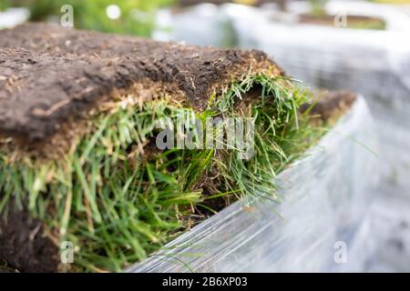 Stack di erba erbosa rotoli per paesaggistica. Tappeto verde erba in rotolo per prato. Foto Stock