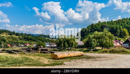 Tronchi con case, foresta e nuvole puffy sullo sfondo in una giornata di sole Foto Stock