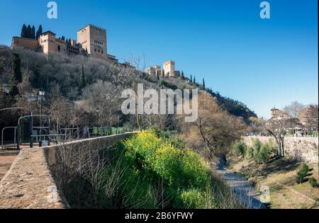 Palazzo dell'Alhambra in cima a un pendio con alberi e il fiume Darro in fondo Foto Stock