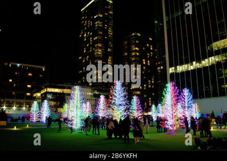 La mostra Sasha Trees al Winter Lights 2020 al Canary Wharf di Londra, Regno Unito Foto Stock