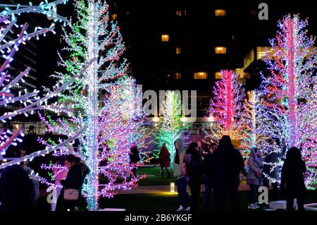 La mostra Sasha Trees al Winter Lights 2020 al Canary Wharf di Londra, Regno Unito Foto Stock