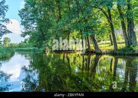 Landschaft am Fluss Czarna Hancza, bei Kanufahrern beliebter Nebenfluss der Memel in der polnischen Woiwodschaft Podlachien, Polen, Europa | paesaggista Foto Stock