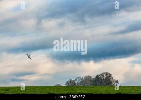 Prima luce del mattino un raccolto polverone fa una svolta nel suo aereo sugli alberi in campagna, Oregon Foto Stock