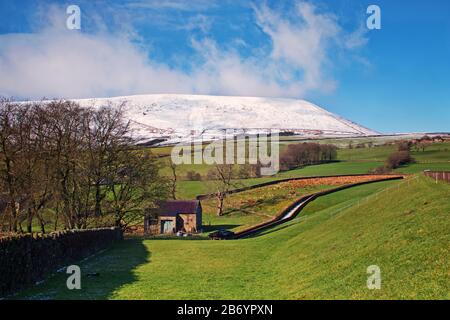 Neve lontana sulla collina di Pendle, vista dai campi verdi di Barley, Lancasire Foto Stock