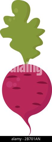 Il Ravanello di rosa, illustrazione vettore su sfondo bianco. Illustrazione Vettoriale