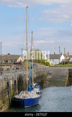 Due yacht blu e bianchi ormeggiati lungo la banchina del porto in pietra che conduce a uno scivolo a Carlingford County Louth in una soleggiata giornata primaverile. Foto Stock