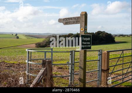 Colline ondulate e paesaggio di campagna di Cranborne Chase in una giornata di primavera, Hampshire/Dorset, Regno Unito Foto Stock