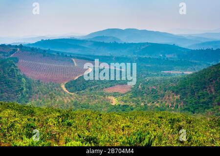 Colline e piantagioni di caffè nelle Highlands Centrali, Bao Loc, Provincia di Lam Dong, Vietnam Foto Stock