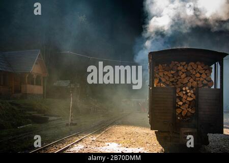VISEUS DE SUS, ROMANIA - 10 OTTOBRE 2014: Mocanita, una locomotiva a vapore alimentata da un incendio a legna, ha Viseu de Sus come punto di partenza e corre per abo Foto Stock