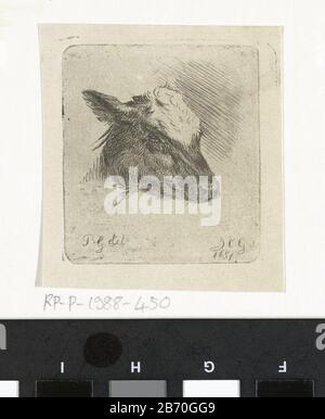 Kop van een bont kalifje Kop van een bont kalifje Oggetto tipo : Prent Objectnummer: RP-P-1988-450Catalogusreferentie: Hippert&Linnig 6 Iscrizioni / Merken: Collector's mark , vero, gestempeld: Lugt 2228 Produttore : Pentrmaker: Jacobus Cornelis Gaal (vermeld op object)naar tekening van Piverd al: Plaeld al obel: 1851 kenmerken Fisico: ETS Materiale: Papier Techniek: Etsen dimensioni: Plaatand: H 53 mm × b 48 mm Oggetto: Vitello Foto Stock