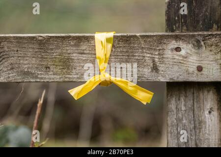 Un nastro giallo legato a una recinzione mostra il percorso per un evento a piedi. Foto Stock