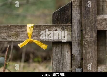 Un nastro giallo legato a una recinzione mostra il percorso per un evento a piedi. Foto Stock