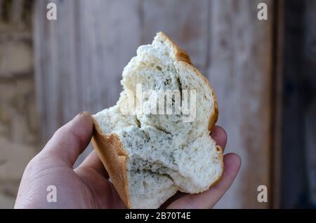 La mano contiene pane ammuffito. Un pezzo grande di pane di grano in una mano maschile. Primo piano. Messa a fuoco selettiva. Vista laterale. Scatto a livello degli occhi. Foto Stock