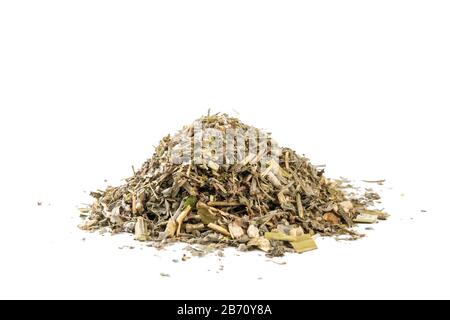 Erba di legno di mosto o in latino erba di Abbinzi mucchio di isolato su sfondo bianco. Erbe medicinali curative. Medicina di erbe. Medicina alternativa Foto Stock