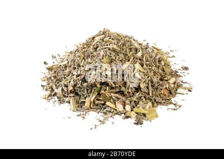 Erba di legno di mosto o in latino erba di Abbinzi mucchio di isolato su sfondo bianco. Erbe medicinali curative. Medicina di erbe. Medicina alternativa Foto Stock