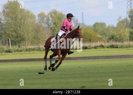 Giocatore di polo al turno durante il gioco Foto Stock