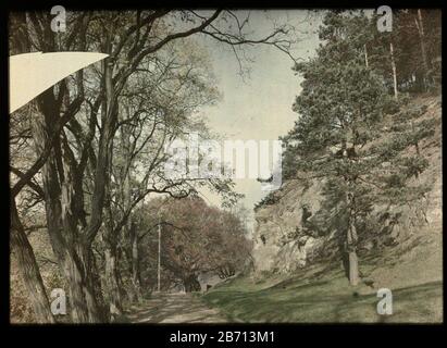 Laan met bomben, met rechts een rotswand Lane with trees on the right a rock wall tipo di oggetto: Foto vetro lanterna colore slide numero articolo: RP-F 2000-21-78 Produttore : fotografo Adolphe Burdet (nelle vicinanze) fotografo: Anonimo (attribuzione rifiutata) Luogo produzione: Netherlands Dating 1907 - 1930 caratteristiche Fisiche: Car cromo materiale: Vetro Tecnica: Car cromo / diapassitief dimensioni: H 89mm × W 119 mm Foto Stock