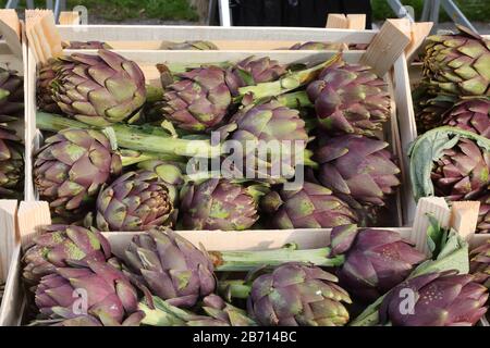 Scatole complete di CARCIOFI freschi in vendita nella stalla del fruttivendolo al mercato locale Foto Stock