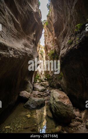 Avakas Gorge di Cipro. Piccolo fiume in primo piano, nel sole rocce sono in background. Foto Stock