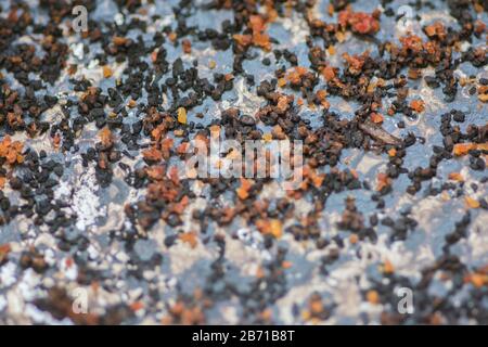 Trama di un fondo di vaso bruciato, con colori di rosso e nero Foto Stock