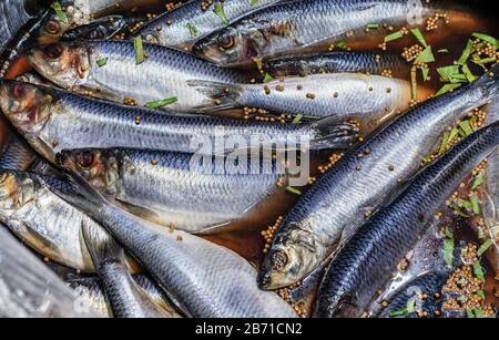 Aringhe salate con spezie in un barile di legno in un mercato di strada. Foto Stock