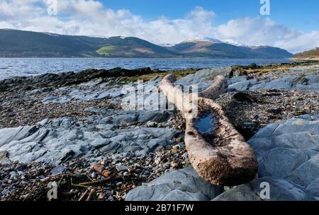 Guardando verso Loch Long da Cove, Argyll & Bute, Scozia Foto Stock