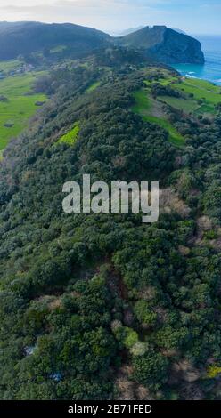 Veduta aerea della campagna e della foresta di querce cantabriche nella Valle di Liendo, Liendo, Mar Cantabrico, Cantabria, Spagna, Europa Foto Stock