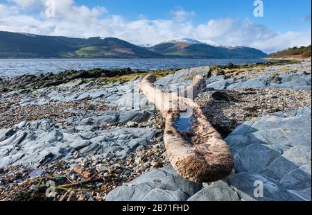 Guardando verso Loch Long da Cove, Argyll & Bute, Scozia Foto Stock